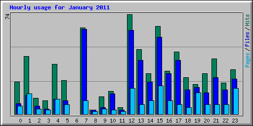 Hourly usage for January 2011