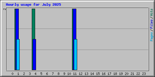 Hourly usage for July 2025